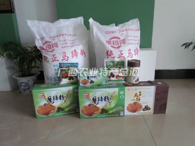 车田河马蹄粉,广西桂林特产车田河马蹄粉图文介绍